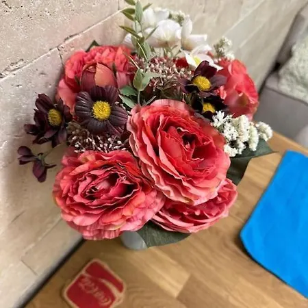 Daire Old Town Underground Belgrad